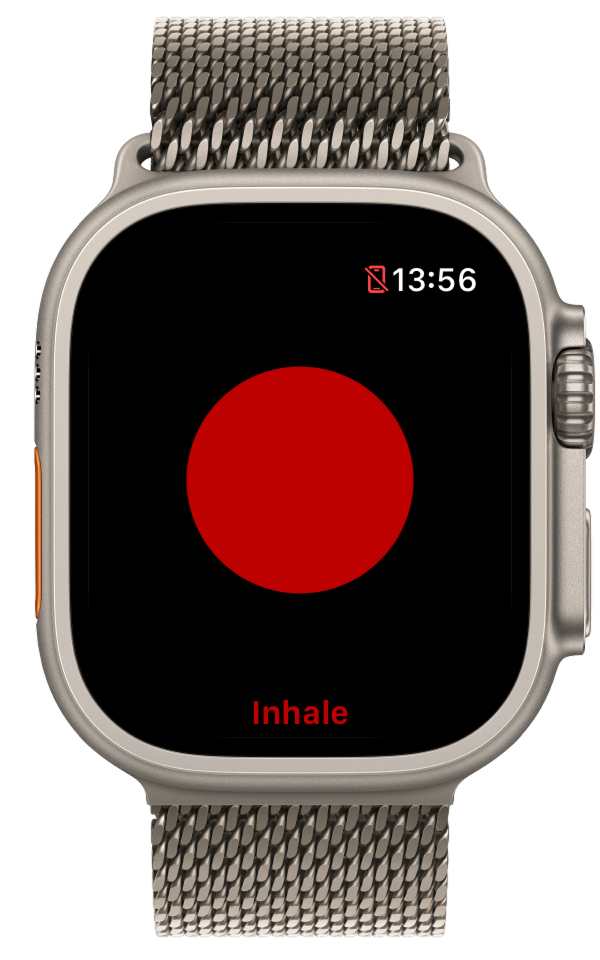HRV Breathing for Apple Watch - pusting